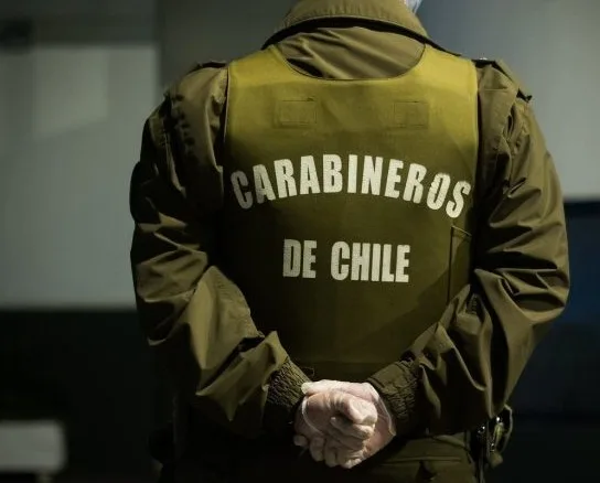 Carabineros Detiene A Hombre Por Robo De Ganado En Chanco Y Recupera Cuatro Vacunos Avaluados En Mas De 5 Millones