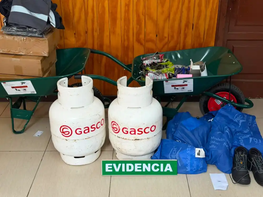 Carabineros Detuvo A Sujeto Tras Robo En Oficinas De Conaf En Curico 1