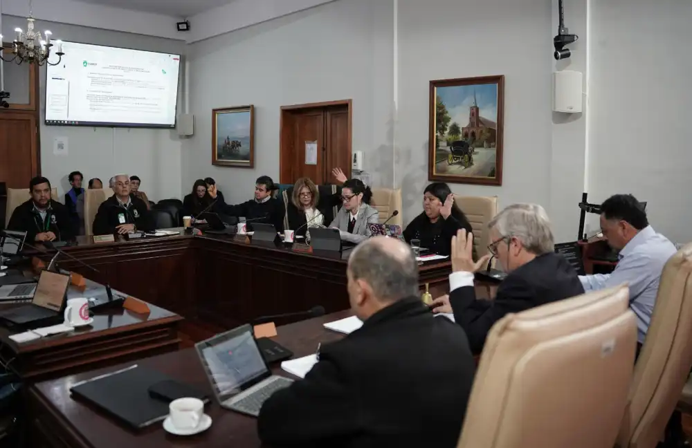 Concejo Municipal De Curico Aprueba 10 Millones Para Apoyar Labor De Fundacion Las Rosas