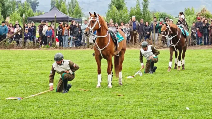 Cuadro Verde Y Orfeon Nacional De Carabineros Protagonizaron Historica Presentacion En Los Niches 2 Cuadro Verde Y Orfeon Nacional De Carabineros Protagonizaron Historica Presentacion En Los Niches 2