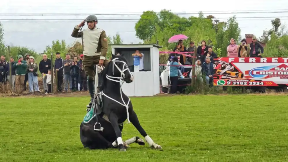 Cuadro Verde Y Orfeon Nacional De Carabineros Protagonizaron Historica Presentacion En Los Niches