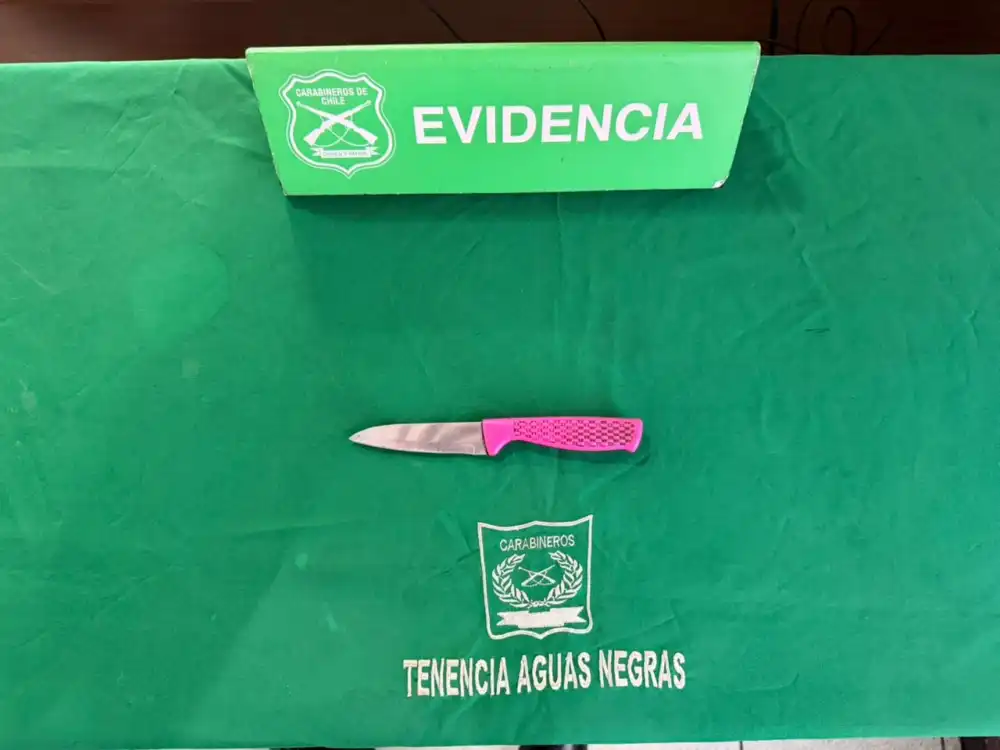 Dos Detenidos Deja Procedimiento Por Robo Con Violencia Y Amenazas De Muerte En Curico 1