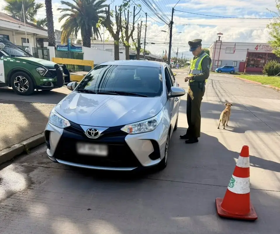 Dos Detenidos Y Tres Vehiculos Retirados Durante Fiscalizaciones Policiales En Curico