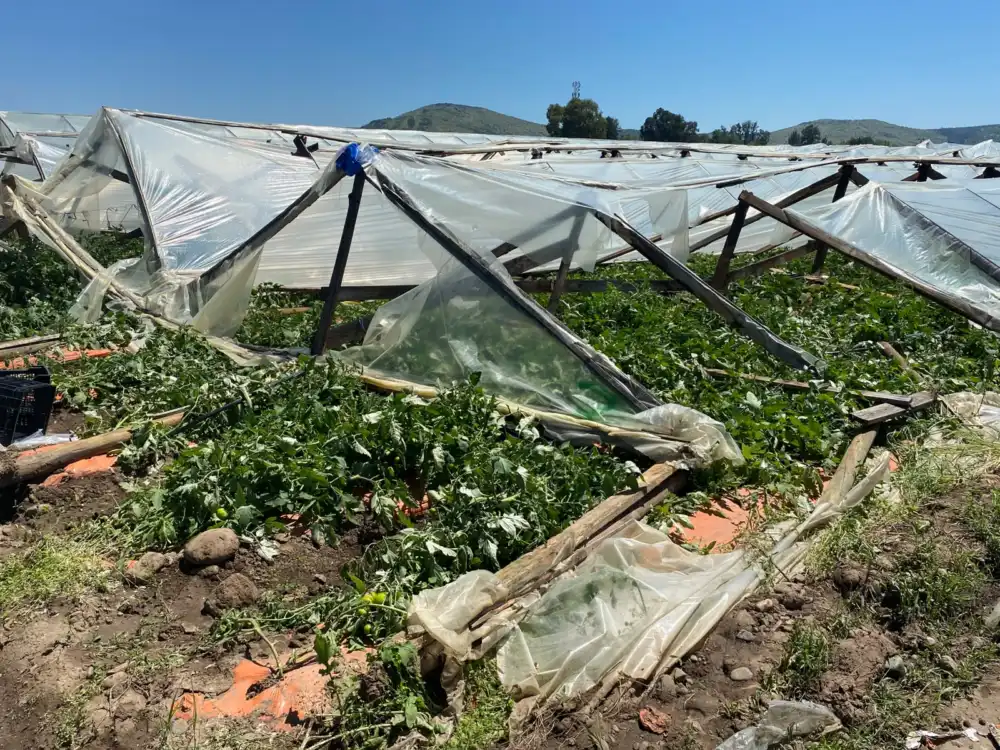 Gobierno Decreta Emergencia Agricola En 14 Comunas Del Maule Seis Pertenecen A La Provincia De Curico