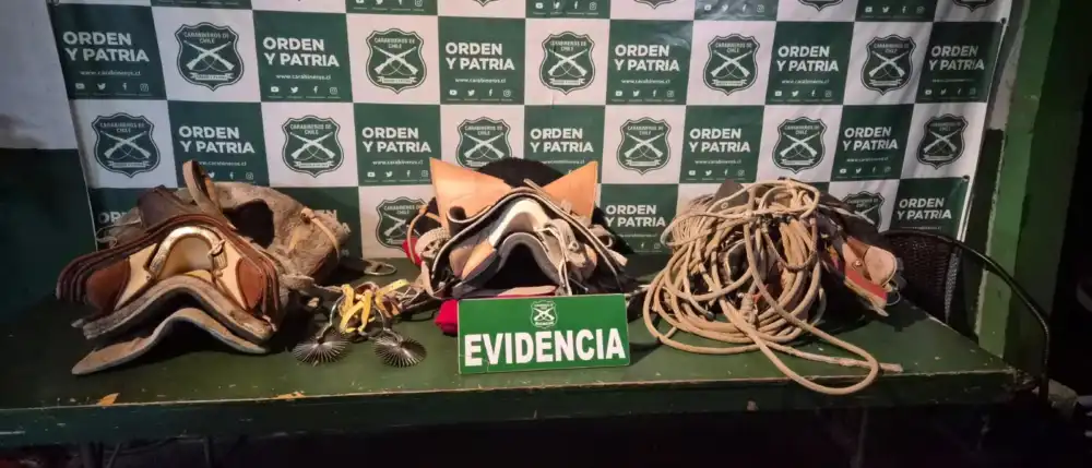 Investigacion De La Sip Deja Siete Detenidos Y Especies Recuperadas Por Robos En Chimbarongo 2