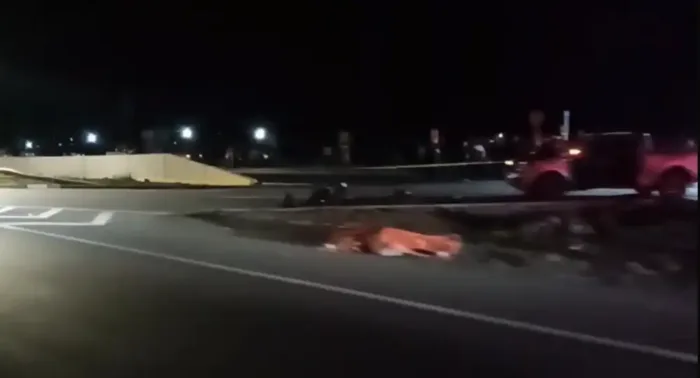 Joven Motociclista De 19 Anos Fallece En Accidente De Transito A Metros De Su Lugar De Trabajo En Teno Joven Motociclista De 19 Anos Fallece En Accidente De Transito A Metros De Su Lugar De Trabajo En Teno
