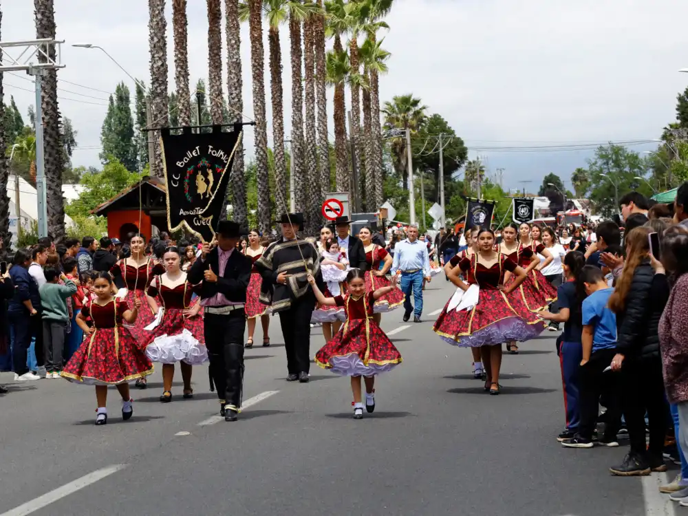 Mas De 50 Organizaciones Participaron En Desfile Civico De Los Niches Por Aniversario De Curico