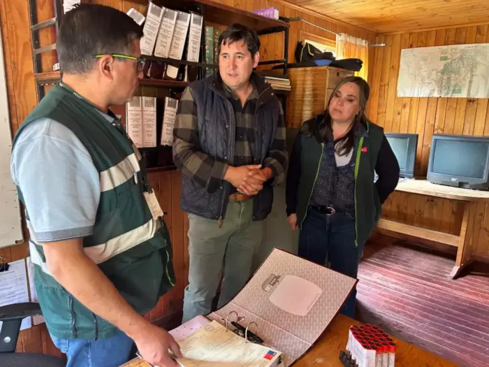 Maule Inicia Temporada De Veranadas Con Llamado A Ganaderos A Mantenerse Atentos A Las Condiciones Climaticas