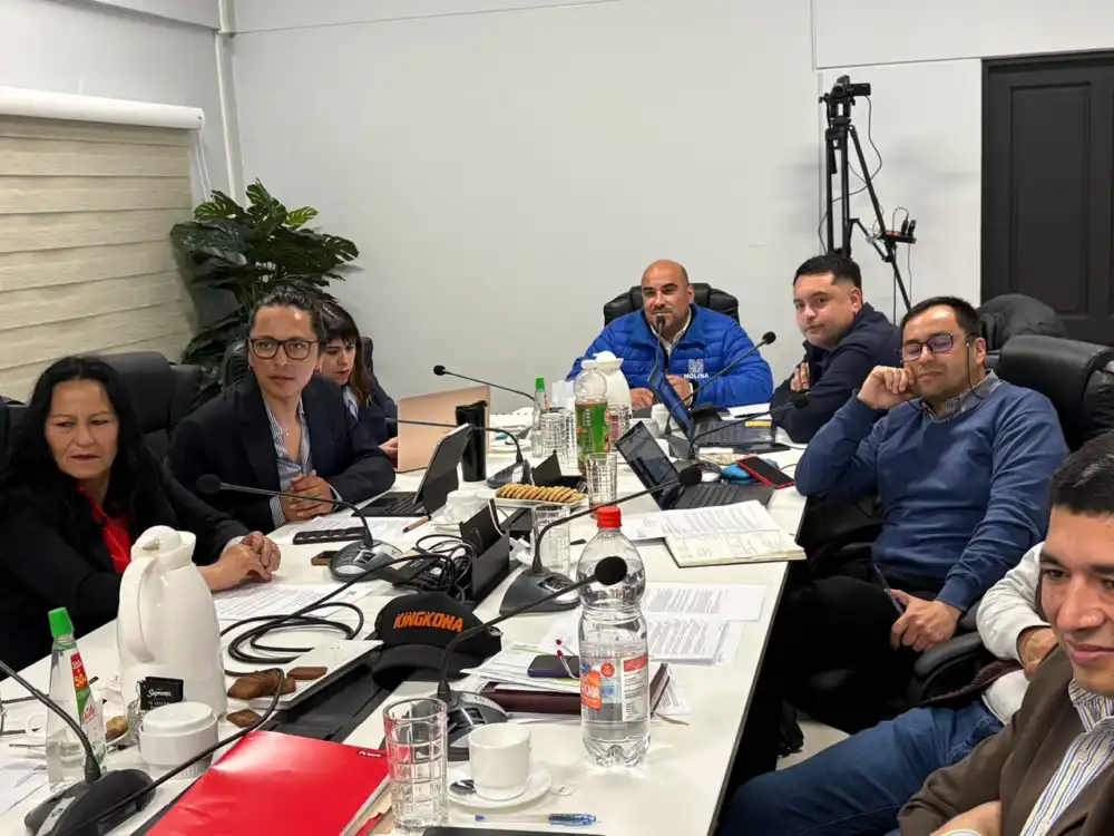 Molina Aprueba 1844 Millones En Subvenciones Para Organizaciones Comunitarias