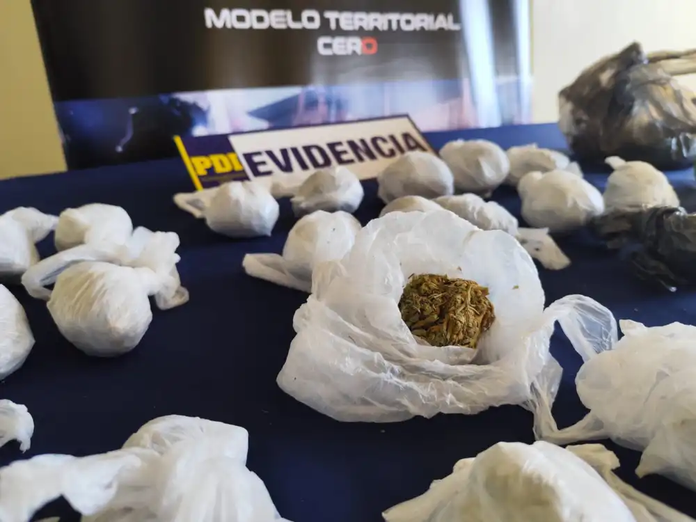Pdi Descubre Contenedor Subterraneo Utilizado Para Cultivar Cannabis En San Javier 1