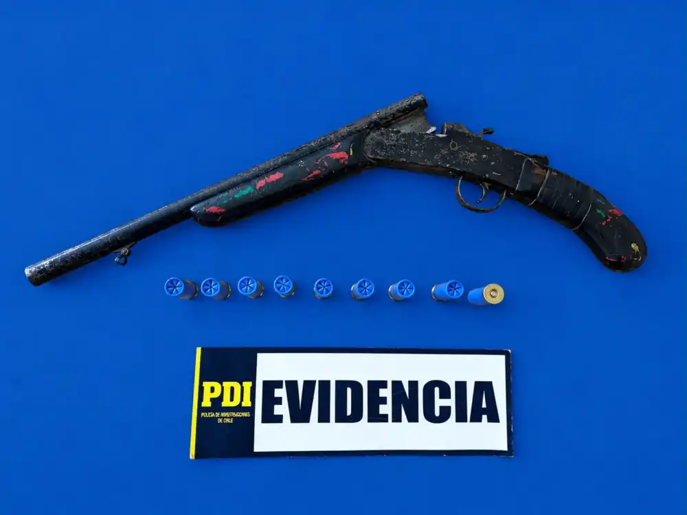 Pdi Detiene En Linares A Sujeto Vinculado A Dos Robos En Viviendas