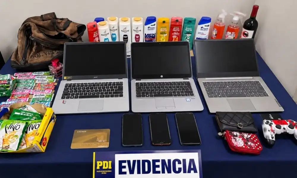 Pdi Detuvo A Profugo En Linares Y Recupero Especies Robadas Avaluadas En 2 Millones