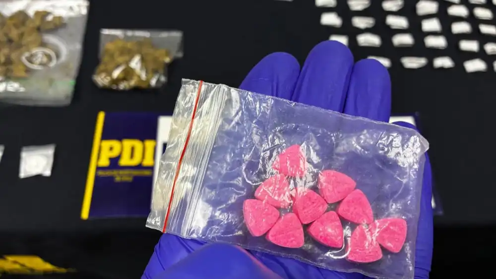 Seis Imputados Quedaron En Prision Preventiva Tras Operativo Antidrogas De La Pdi Y Fiscalia En Linares