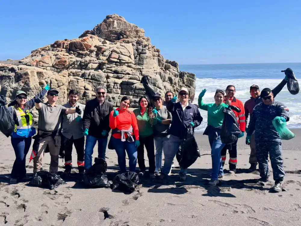 Voluntarios Y Autoridades Realizaron Jornada De Limpieza En Playa Los Gringos De Constitucion